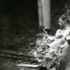 4651d432538127.gif