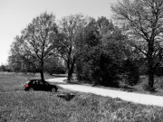 12fef036166464.gif