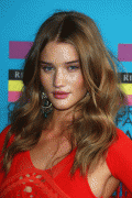 08648a38620042.gif