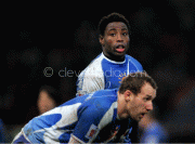 e8a64738823095.gif