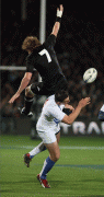 d955df38875896.gif