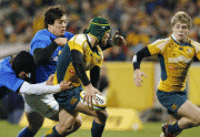 06787b38888390.gif