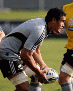 817f5540128734.gif