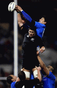 b3ea0940338755.gif