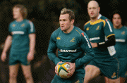 e52c0041718266.gif