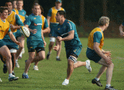 01df2a44118287.gif