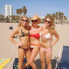 e3babb44338538.gif