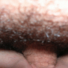 ec193945044057.gif