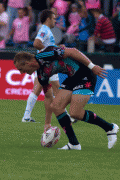 29afdc47315651.gif