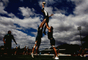 1a288c52498441.gif