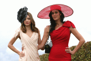 fa214452723905.gif