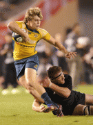 ee53ae54285588.gif