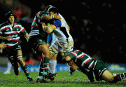 975e6265901216.gif