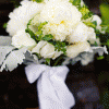 free image host