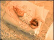 97aff072314955.gif