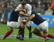 6c9bb572870206.gif