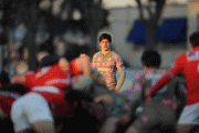 055c9a79674736.gif